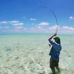 saltwater_fishing_guides