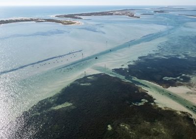 Aerial Wade Fishing Laguna Madre