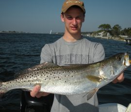 davids-trout