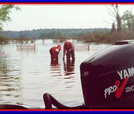 lake_conroe_aquatic_habitat_restoration