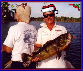 merry_christmas_peacock_bass