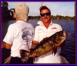 peacock_bass_lake_guri_venezuela