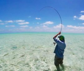 saltwater_fishing_guides