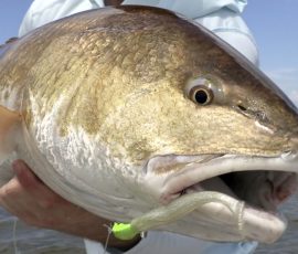 Texas-Saltwater-Fishing-Guide-2021-3