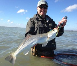 trout_6_r
