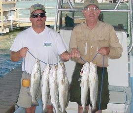 delbertdoug719