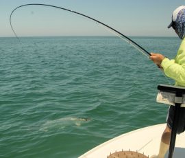 fish-on