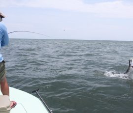 tarpon-on-fly