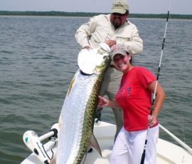 tarpon