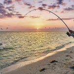 Wade Fishing Laguna Madre