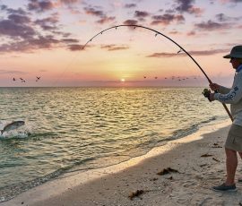 Wade Fishing Laguna Madre