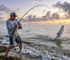 Shore Fisherman Fighting Tarpon