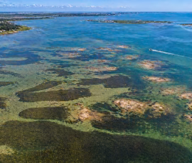 Copano Bay Texas Saltwater Fishing Aerial